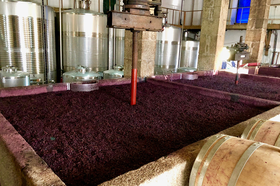 Výroba portského vína