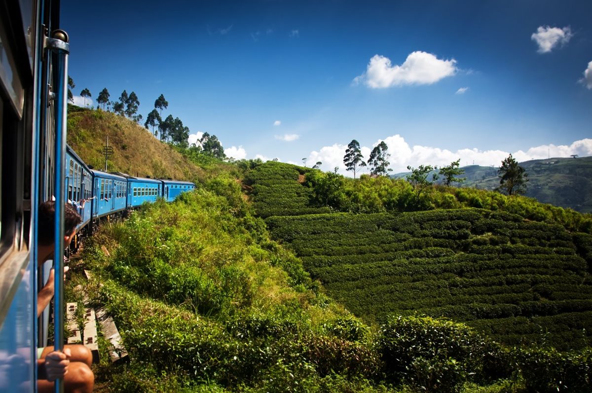 Vlak pri srílankských čajových plantážach