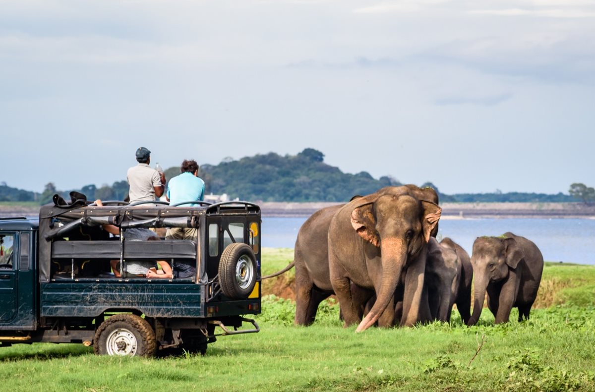 Národný park Minneriya, Srí Lanka