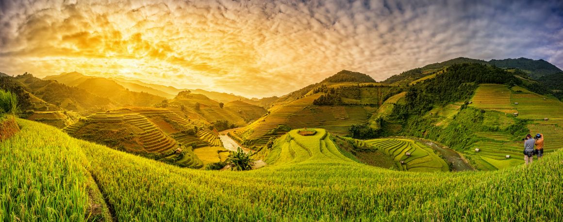 Ryžové pole, Sapa, Vietnam