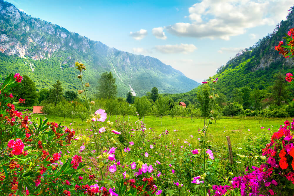 Idylický slnečný deň v parku Durmitor