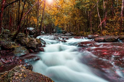 Tranh Stream, Phu Quoc