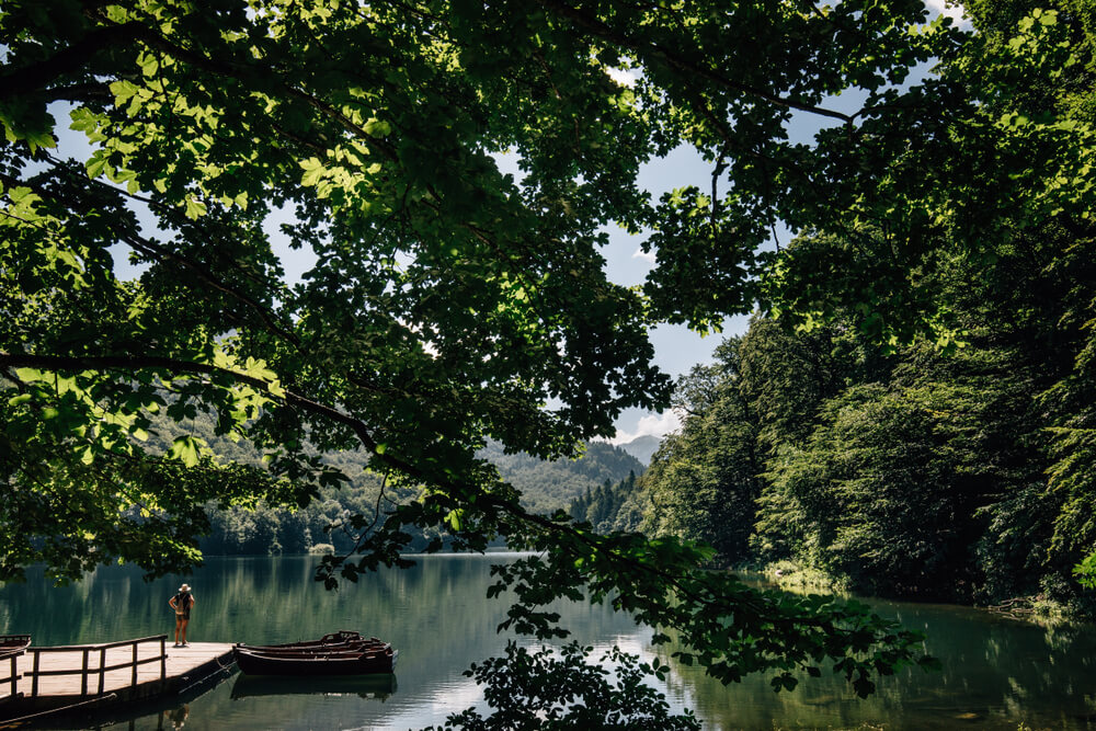 Národný park Biogradska Gora