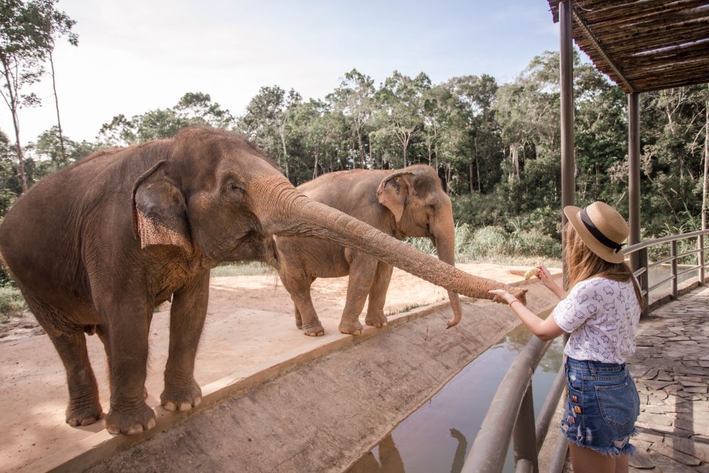 Safari park, Phu Quoc