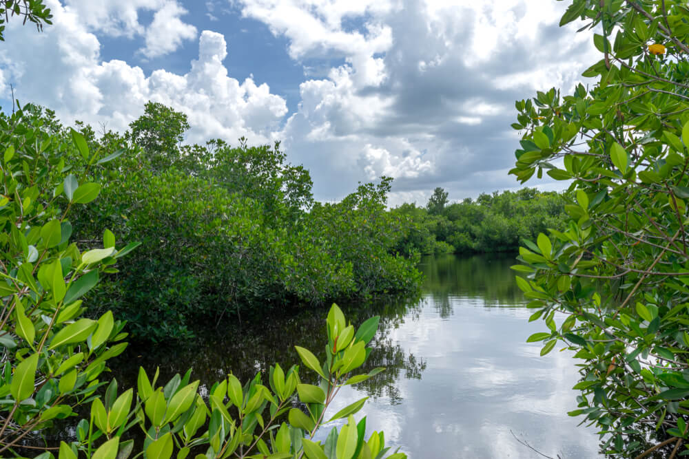 Varahicacos Ecological Reserve, Varadero