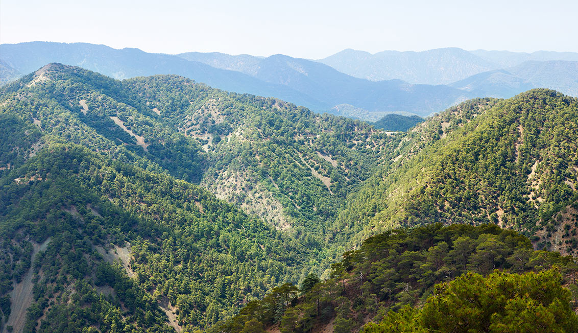 Pohoria Troodos